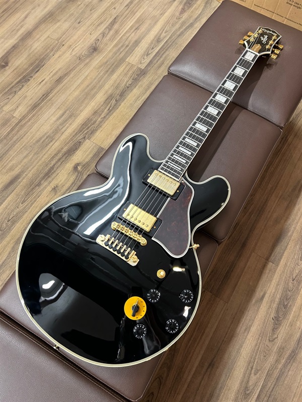 Epiphone B.B.King Lucilleの画像